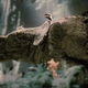 Image for article titled Great Movies About Prehistoric Animals, Rated for Scientific Accuracy